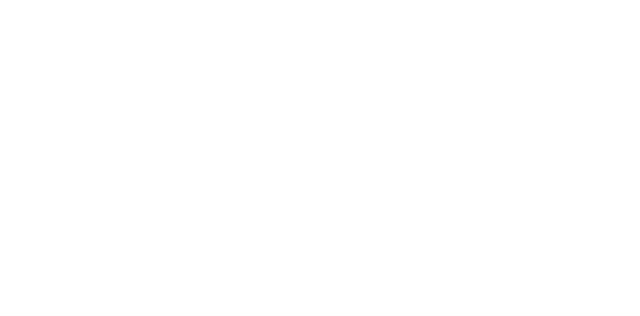 Border Forensics